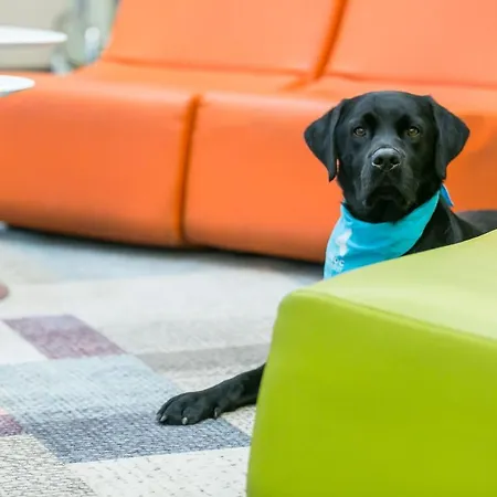 塞格德艺术酒店 酒店 4*