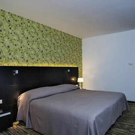 塞格德艺术酒店 酒店 4*